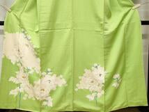 Kimono 訪問着　枝花文　金彩　正絹　逸品